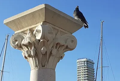 vigilando el puerto
