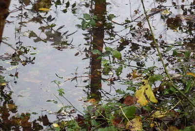 altro specchio d 'acqua