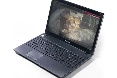 פאזל של Galatea en la computadora
