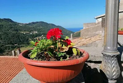 Sangineto, coloriamo il borgo2