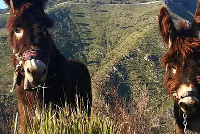 Abitanti del Parco del Pollino