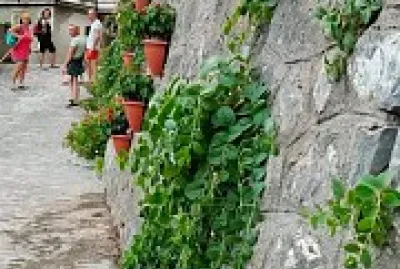 Coloriamo il borgo, Sangineto CS