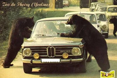 Zoo de Thoiry (Yvelines) jigsaw puzzle