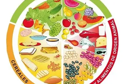 Come sano