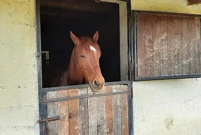 פאזל של Maneggio, Sangineto CS