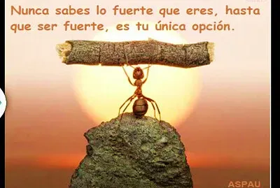 Resiliencia