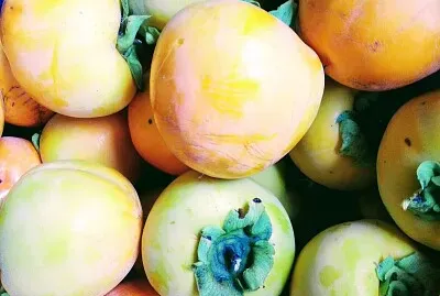 FRUTAS
