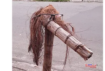 O coqueiro com oculos