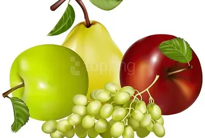 פאזל של FRUCTE