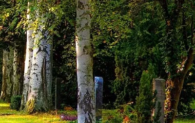 פאזל של Nature