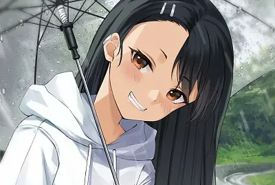  jigsaw puzzle