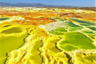 פאזל של summer #263