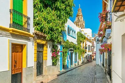 calle de Cordoba jigsaw puzzle