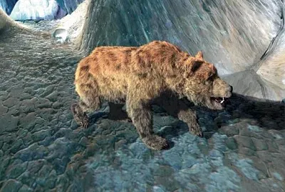 Ours des cavernes