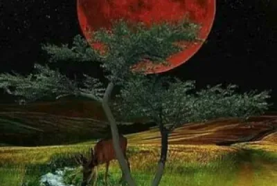 02