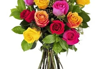VARIEDADES DE ROSAS