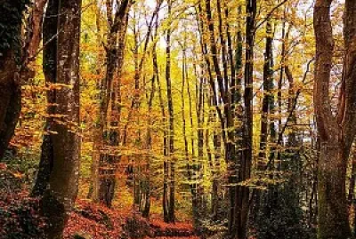 Ploemeur Parc de Kerihuer