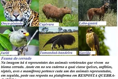 Animais vertebrados do Cerrado