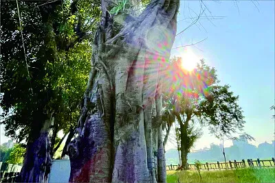 風景 jigsaw puzzle