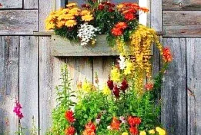 ventana
