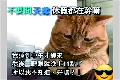 可愛動物 jigsaw puzzle