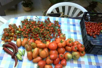 verdure