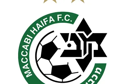 פאזל של סמל הקבוצה