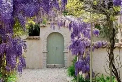 fachada jigsaw puzzle