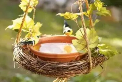 animales jigsaw puzzle