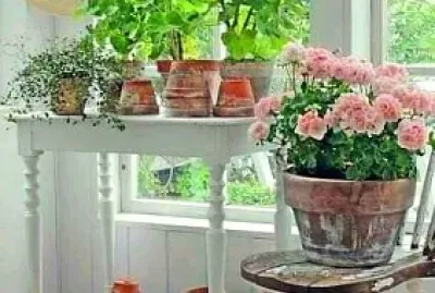 flores jigsaw puzzle