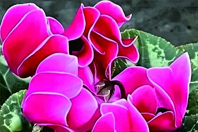 花漾 jigsaw puzzle