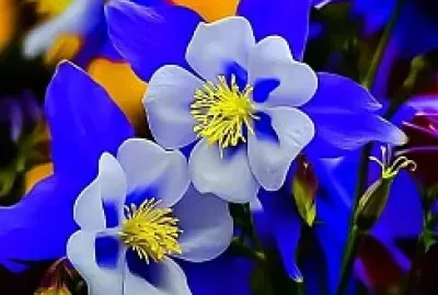 azul