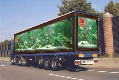 Camion aquarium