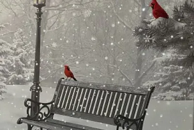 Winter Park Bench