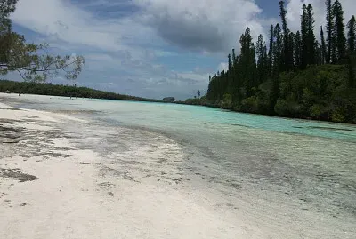 Ile des pins