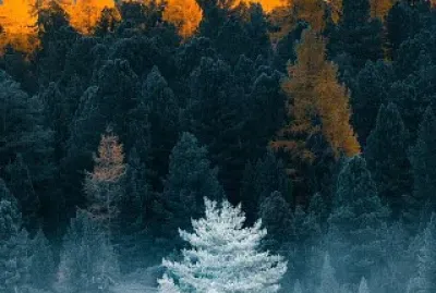 invierno