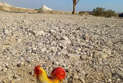 פאזל של desert doll