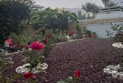 garden1
