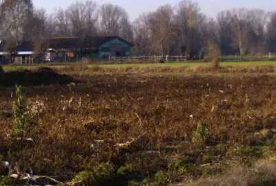 campagna