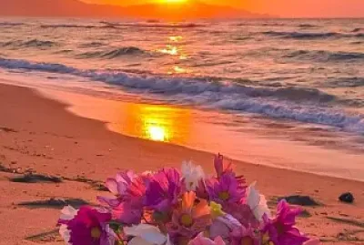 flores atardecer