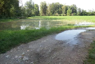 campi allagati