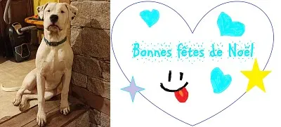 Bonne fête de Noël jigsaw puzzle