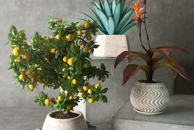 interiores