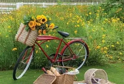 פאזל של bicicleta