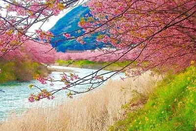 פאזל של imagem