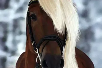 ALEZAN lavé jigsaw puzzle