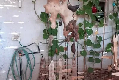 פאזל של tzurim2