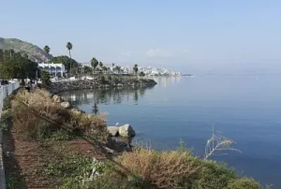 פאזל של kuneret