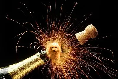 פאזל של Feliz Año Nuevo!