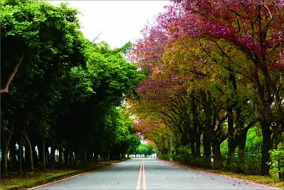 風景 jigsaw puzzle